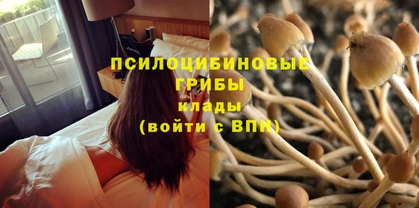 ECSTASY Заволжье